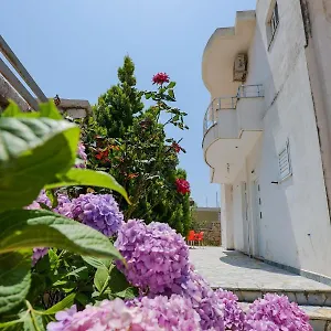 lekas-apartments.albaniahotels.org/