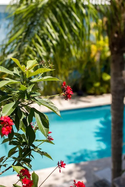 Rose Lane Villas Key West